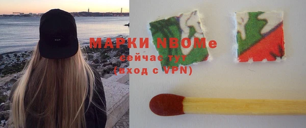 прущий лед Алзамай