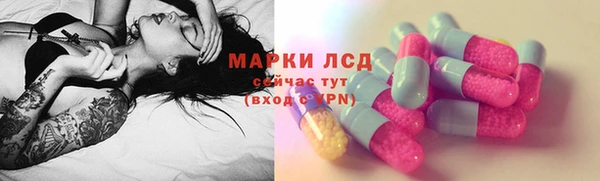 прущий лед Алзамай